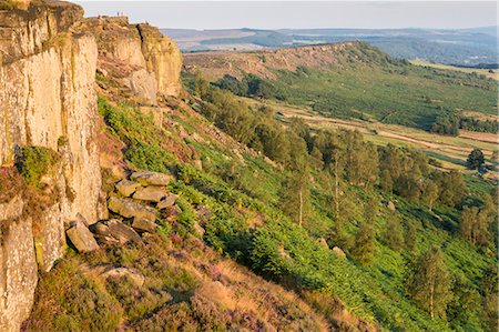 simsearch:6119-07845535,k - Gritstone, heather, ferns and trees on a summer evening, Curbar Edge, Peak District National Park, Derbyshire, England, United Kingdom, Europe Photographie de stock - Premium Libres de Droits, Code: 6119-07845533