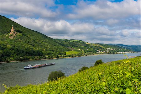 reno - Cargo boat passing Castle Sooneck on the River Rhine, Niederheimbach. Upper Rhine Valley, UNESCO World Heritage Site, Hesse, Germany, Europe Foto de stock - Royalty Free Premium, Número: 6119-07845678