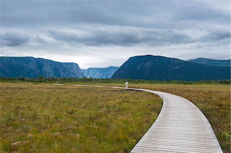 Walkway along Jerrys Pond in the Gros Morne National Park, UNESCO World Heritage Site, Newfoundland, Canada, North America Stock Photo - Premium Royalty-Free, Code: 6119-07845706
