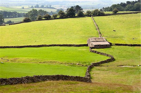 drystone wall - Field Barn and Dry Stone Walls in Crummack Dale, Yorkshire, England, United Kingdom, Europe Foto de stock - Sin royalties Premium, Código: 6119-07845732