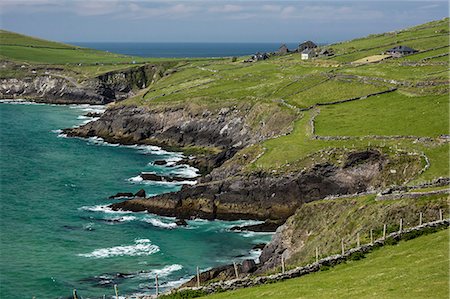 dingle peninsula - Sheep fences and rock walls along the Dingle Peninsula, County Kerry, Munster, Republic of Ireland, Europe Foto de stock - Sin royalties Premium, Código: 6119-07943636