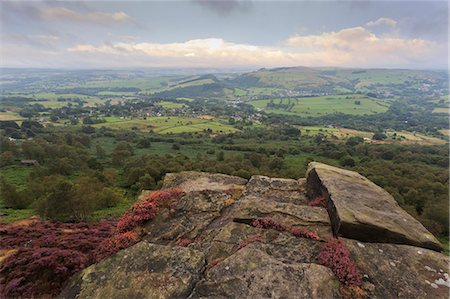 Heather on Curbar Edge at dawn, with view towards Curbar and Calver, late summer, Peak District, Derbyshire, England, United Kingdom, Europe Foto de stock - Sin royalties Premium, Código: 6119-08062024