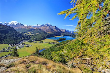 simsearch:6119-08062111,k - In summer the Engadine valley becomes a paradise for mountain lovers with larch forests, pristine lakes and elegant peaks, Graubunden, Switzerland, Europe Foto de stock - Sin royalties Premium, Código: 6119-08062103