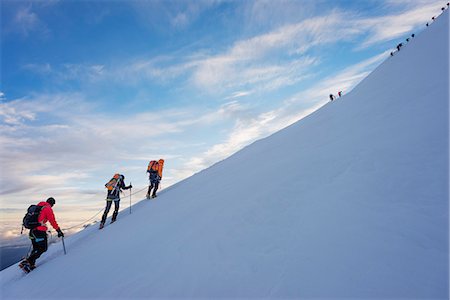 Climbers nearing the summit of Mont Blanc, 4810m, Chamonix, Rhone Alps, Haute Savoie, France, Europe Stockbilder - Premium RF Lizenzfrei, Bildnummer: 6119-08062200