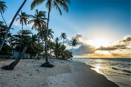 pigeon point - Sunset at the beach of Pigeon Point, Tobago, Trinidad and Tobago, West Indies, Caribbean, Central America Photographie de stock - Premium Libres de Droits, Code: 6119-08062356