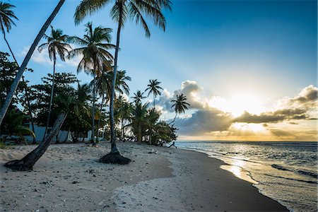 simsearch:6119-07451094,k - Sunset at the beach of Pigeon Point, Tobago, Trinidad and Tobago, West Indies, Caribbean, Central America Photographie de stock - Premium Libres de Droits, Code: 6119-08062356