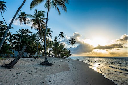 pigeon point - Sunset at the beach of Pigeon Point, Tobago, Trinidad and Tobago, West Indies, Caribbean, Central America Foto de stock - Sin royalties Premium, Código: 6119-08062356