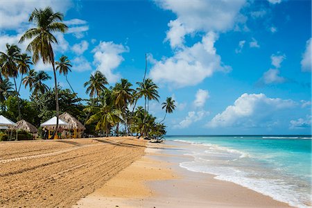 Sandy beach and palm trees of Pigeon Point, Tobago, Trinidad and Tobago, West Indies, Caribbean, Central America Photographie de stock - Premium Libres de Droits, Code: 6119-08062358