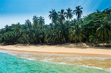 Remote tropical beach on the UNESCO Biosphere Reserve Principe, Sao Tome and Principe, Atlantic Ocean, Africa Stockbilder - Premium RF Lizenzfrei, Bildnummer: 6119-08081186