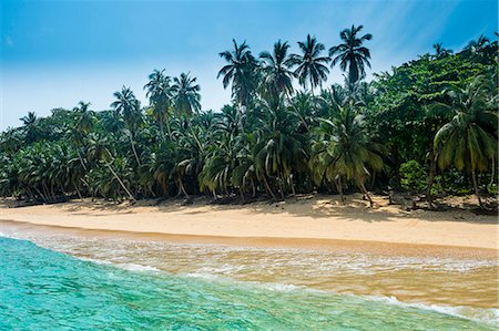 sao tome - Remote tropical beach on the UNESCO Biosphere Reserve Principe, Sao Tome and Principe, Atlantic Ocean, Africa Stock Photo - Premium Royalty-Free, Code: 6119-08081186