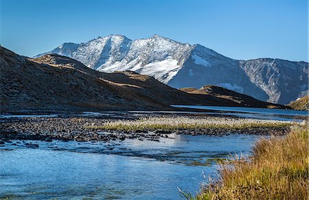 simsearch:6119-08170173,k - Blooming of eriofori (cotton grass), Levanne mountains. Gran Paradiso National Park, Alpi Graie (Graian Alps), Italy, Europe Photographie de stock - Premium Libres de Droits, Code: 6119-08170178