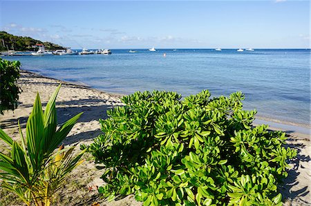 Oualie Beach, Nevis, St. Kitts and Nevis, Leeward Islands, West Indies, Caribbean, Central America Photographie de stock - Premium Libres de Droits, Code: 6119-08170258