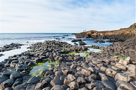 simsearch:700-08146161,k - The Giants Causeway, UNESCO World Heritage Site, County Antrim, Ulster, Northern Ireland, United Kingdom, Europe Photographie de stock - Premium Libres de Droits, Code: 6119-08170215