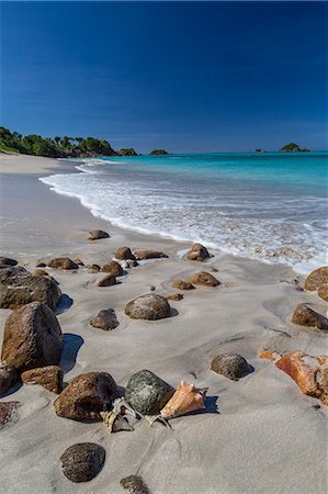 Shells and rocks lie on the beach of Spearn Bay lit the tropical sun and washed by Caribbean Sea, Antigua, Leeward Islands, West Indies, Caribbean, Central America Foto de stock - Sin royalties Premium, Código: 6119-08126502