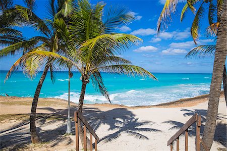 Varadero beach, Varadero, Cuba, West Indies, Caribbean, Central America Stock Photo - Premium Royalty-Free, Code: 6119-08242753