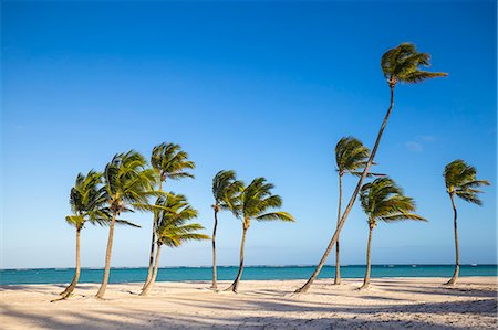 punta cana - Juanillo Beach, Cap Cana, Punta Cana, Dominican Republic, West Indies, Caribbean, Central America Stock Photo - Premium Royalty-Free, Code: 6119-08242760