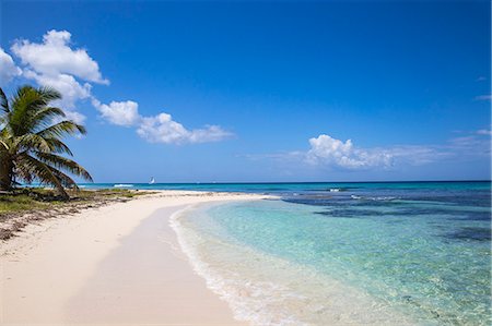 palm tree beach - Catuano Beach, Saona Island, Parque Nacional del Este, Punta Cana, Dominican Republic, West Indies, Caribbean, Central America Stock Photo - Premium Royalty-Free, Code: 6119-08242767