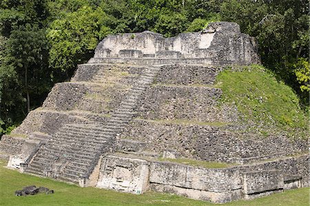 simsearch:6119-08269447,k - Plaza A Temple, Mayan ruins, Caracol, Belize, Central America Photographie de stock - Premium Libres de Droits, Code: 6119-08266361
