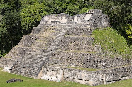 simsearch:6119-08266248,k - Plaza A Temple, Mayan ruins, Caracol, Belize, Central America Stock Photo - Premium Royalty-Free, Code: 6119-08266361