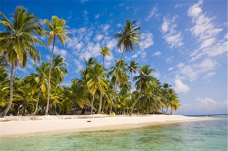 dog island - Dog Island, Comarca de Kuna Yala, San Blas Islands, Panama, Central America Foto de stock - Sin royalties Premium, Código: 6119-08266377