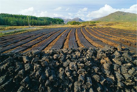 simsearch:6129-09057796,k - Peat 'farming' or cutting, Connemara region near Clifden, County Galway, Connacht, Republic of Ireland (Eire), Europe Photographie de stock - Premium Libres de Droits, Code: 6119-08266333