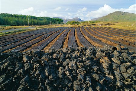 simsearch:832-03640763,k - Peat 'farming' or cutting, Connemara region near Clifden, County Galway, Connacht, Republic of Ireland (Eire), Europe Foto de stock - Royalty Free Premium, Número: 6119-08266333