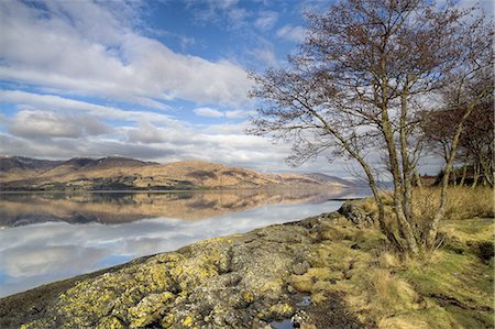 simsearch:6113-07160357,k - Loch Linnhe in flat calm winter weather with reflections of distant mountains and tree-lined shoreline, near Fort William, Highland, Scotland, United Kingdom, Europe Photographie de stock - Premium Libres de Droits, Code: 6119-08266456