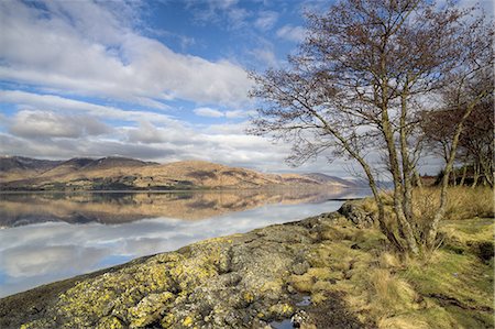 Loch Linnhe in flat calm winter weather with reflections of distant mountains and tree-lined shoreline, near Fort William, Highland, Scotland, United Kingdom, Europe Photographie de stock - Premium Libres de Droits, Code: 6119-08266456