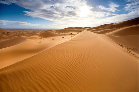 sand ripple - Rolling orange sand dunes and sand ripples in the Erg Chebbi sand sea near Merzouga, Morocco, North Africa, Africa Stock Photo - Premium Royalty-Free, Code: 6119-08266493