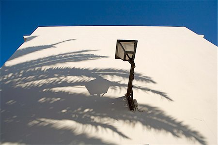 simsearch:700-06383685,k - Shadow of palm tree on white wall. Vejer de la Frontera, Andalucia, Spain, Europe Foto de stock - Sin royalties Premium, Código: 6119-08266737