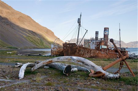 south atlantic - Old whaling station, Grytviken, South Georgia, South Atlantic Foto de stock - Sin royalties Premium, Código: 6119-08267075