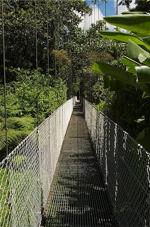 dangerous journey - Hanging Bridges a walk through the rainforest, Arenal, Costa Rica Stock Photo - Premium Royalty-Free, Code: 6119-08267188