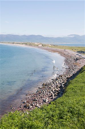 simsearch:6119-08269890,k - Rossbeigh, Ring of Kerry, County Kerry, Munster, Republic of Ireland, Europe Stockbilder - Premium RF Lizenzfrei, Bildnummer: 6119-08267101