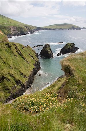 simsearch:6119-08269890,k - View from Slea Head Drive near Dunquin, Dingle Peninsula, County Kerry, Munster, Republic of Ireland, Europe Foto de stock - Royalty Free Premium, Número: 6119-08267106