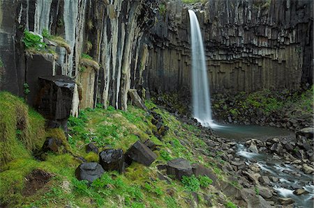 svartifoss waterfall - Svartifoss waterfall, with basalt columns, Skaftafell National Park, South area, Iceland, Polar Regions Photographie de stock - Premium Libres de Droits, Code: 6119-08267343