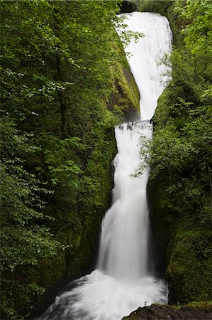 Bridal Veil Falls, Columbia River Gorge, Oregon, United States of America, North America Photographie de stock - Premium Libres de Droits, Code: 6119-08267310