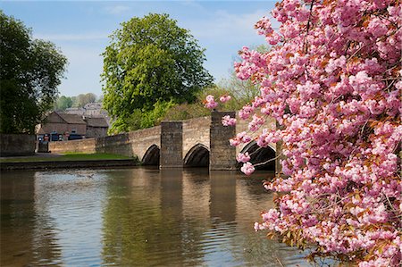 Pink cherry blossom on tree by the bridge over the River Wye, Bakewell, Peak District National Park, Derbyshire, England, United Kingdom, Europe Photographie de stock - Premium Libres de Droits, Code: 6119-08267446