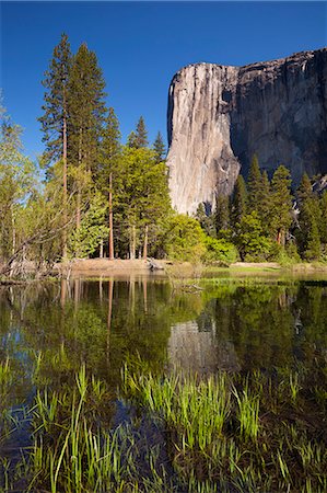 El Capitan, a 3000 feet granite monolith, with the Merced River flowing through the flooded meadows of Yosemite Valley, Yosemite National Park, UNESCO World Heritage Site, Sierra Nevada, California, United States of America, North America Photographie de stock - Premium Libres de Droits, Code: 6119-08267454