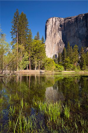 sierra nevada (california, usa) - El Capitan, a 3000 feet granite monolith, with the Merced River flowing through the flooded meadows of Yosemite Valley, Yosemite National Park, UNESCO World Heritage Site, Sierra Nevada, California, United States of America, North America Stock Photo - Premium Royalty-Free, Code: 6119-08267454