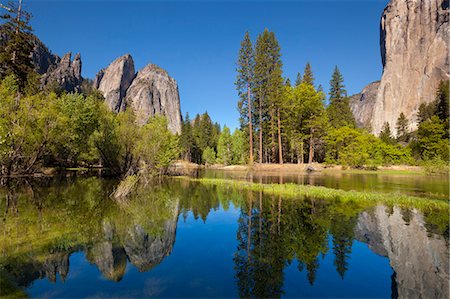 el capitán - El Capitan, a 3000 feet granite monolith on the right, Cathedral Rocks and Cathedral Spires on the left, with the Merced River flowing through flooded meadows of Yosemite Valley, Yosemite National Park, UNESCO World Heritage Site, Sierra Nevada, California, United States of America, North America Stock Photo - Premium Royalty-Free, Code: 6119-08267455