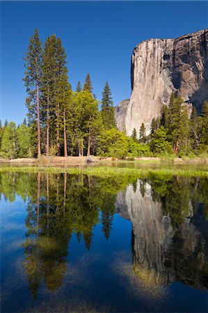 simsearch:6119-08267456,k - El Capitan, a 3000 feet granite monolith, with the Merced River flowing through the flooded meadows of Yosemite Valley, Yosemite National Park, UNESCO World Heritage Site, Sierra Nevada, California, United States of America, North America Stock Photo - Premium Royalty-Free, Code: 6119-08267456