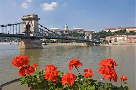 Red geraniums and the Chain Bridge (Szechenyi Lanchid) over the River Danube, with the Hungarian National Gallery, behind, UNESCO World Heritage Site, Budapest, Hungary, Europe Photographie de stock - Premium Libres de Droits, Code: 6119-08267413