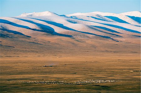 simsearch:6119-08268724,k - Sheep grazing on the plains in Bayanbulak, Xinjiang Province, China, Asia Photographie de stock - Premium Libres de Droits, Code: 6119-08267906