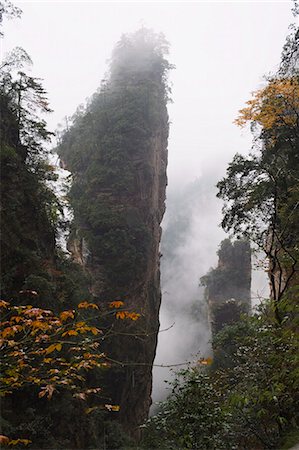 simsearch:6119-08740954,k - Karst limestone rock formations at Zhangjiajie Forest Park, Wulingyuan Scenic Area, UNESCO World Heritage Site, Hunan Province, China, Asia Photographie de stock - Premium Libres de Droits, Code: 6119-08267914