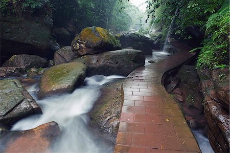 simsearch:841-03518669,k - A forest river in the Sidonggou Nature Reserve near Chushui, Guizhou Province, China, Asia Foto de stock - Sin royalties Premium, Código: 6119-08267921