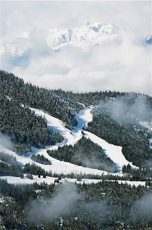 simsearch:841-03035511,k - Tree lined ski slopes, Whistler mountain resort, venue of the 2010 Winter Olympic Games, British Columbia, Canada, North America Photographie de stock - Premium Libres de Droits, Code: 6119-08267933