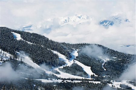 simsearch:841-03035511,k - Tree lined ski slopes, Whistler mountain resort, venue of the 2010 Winter Olympic Games, British Columbia, Canada, North America Photographie de stock - Premium Libres de Droits, Code: 6119-08267934