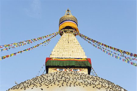 simsearch:6119-08268579,k - Pigeons and prayer flags on Boudha Stupa (Chorten Chempo), Boudhanath, Kathmandu, Nepal, Asia Foto de stock - Sin royalties Premium, Código: 6119-08268017