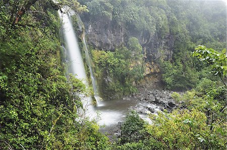 dawson falls - Dawson Falls, Mount Taranaki National Park (Mount Egmont National Park), Taranaki, North Island, New Zealand, Pacific Foto de stock - Sin royalties Premium, Código: 6119-08268454