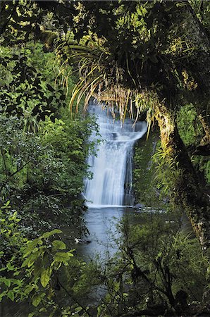 Bridal Veil Falls, Te Urewera National Park, Bay of Plenty, North Island, New Zealand, Pacific Photographie de stock - Premium Libres de Droits, Code: 6119-08268471
